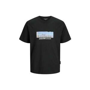 Tricou JACK &JONES Sago Photo Slub 45493 imagine