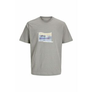 Tricou JACK &JONES Sago Photo Slub 45503 imagine
