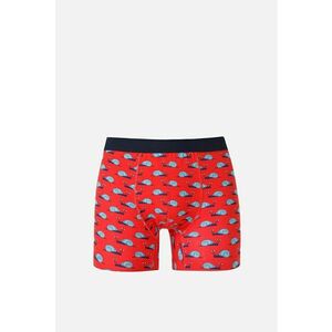 Lenjerie Intima De Barbati Rosu Modern Fit Cl1067086 imagine