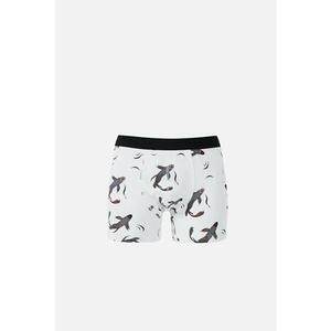 Lenjerie Intima De Barbati Alb Modern Fit Cl1068444 imagine