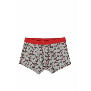 Lenjerie Intima De Barbati Gri Modern Fit CL1064225 imagine