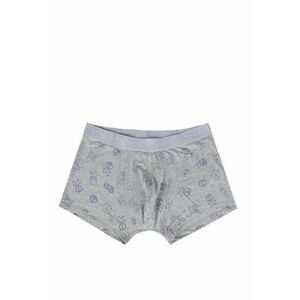 Lenjerie Intima De Barbati Gri Modern Fit CL1062162 imagine