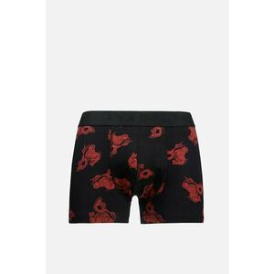 Lenjerie Intima De Barbati Negru Modern Fit Cl1067047 imagine