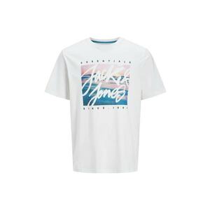 Tricou JACK &JONES Colton Photoprint 43755 imagine