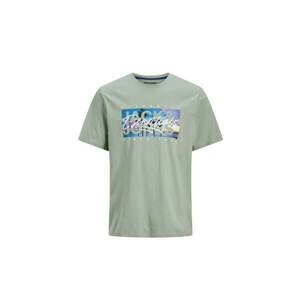 Tricou JACK &JONES Colton Photoprint 43745 imagine