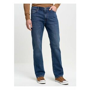 Blugi drepti Trent 481 imagine