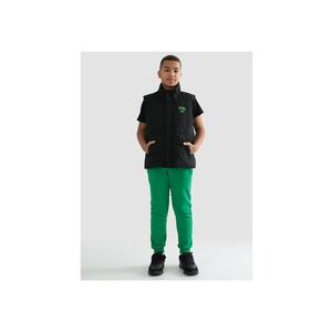 Vesta matlasata cu logo Tiger imagine