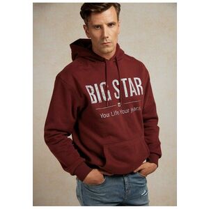 Hanorac regular fit cu imprimeu logo Ashlyno imagine