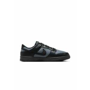 Pantofi sport pentru Barbati - dunk low retro se wntr - FZ3052-001 - Negru imagine