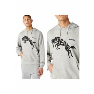 Bluzy 31070165 imagine