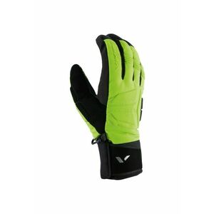 Manusi schi Megeve Snowboard - marimea 8 - negru imagine