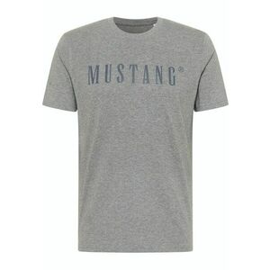 Tricou pentru barbati 1013221-4140 imagine