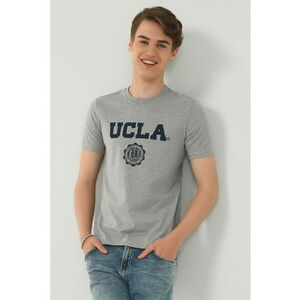 Tricou cu imprimeu logo Gayley imagine