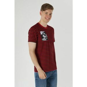 Tricou cu decolteu la baza gatului si dungi imagine