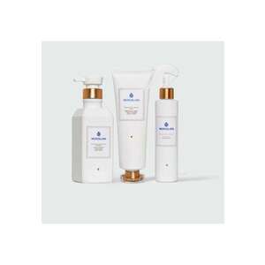 Set pentru ingrijirea parului : 1 Sampon 380 ml - 1 Masca 260 ml - Spray pentru par deteriorat leave-in 200 ml imagine