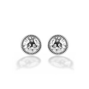 Cercei cu tija - de otel inoxidabil imagine