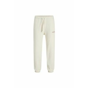 Pantaloni JACK &JONES Kane Billy 47689 imagine