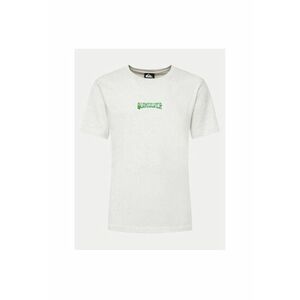 Tricou barbati - 62256 - Bumbac - L INTL - Gri imagine