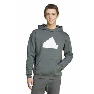 Hanorac Future Icons Badge of Sport imagine