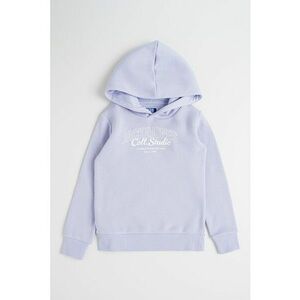 Hanorac regular fit cu imprimeu logo imagine