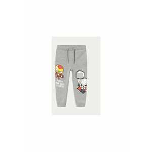 Pantaloni baieti - 304435775 - Bumbac - Gri imagine