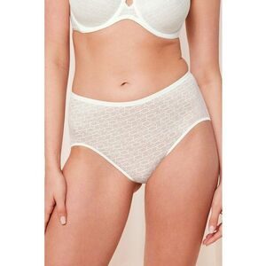 Chiloti din plasa Signature imagine