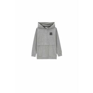 Hanorac sport baieti - Bumbac - Gri imagine