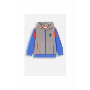 Hanorac copii - cu fermoar - insertii colorate - captusit cu blana - bumbac imagine