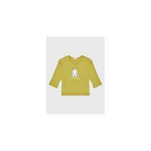 Bluza baieti - 301250623 - Bumbac - Verde imagine