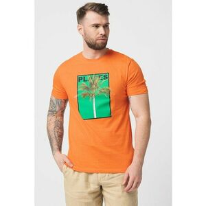 Tricou din bumbac cu decolteu la baza gatului imagine