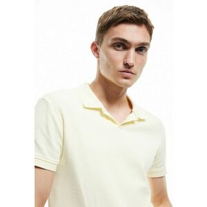 Tricou polo de bumbac cu striatii imagine