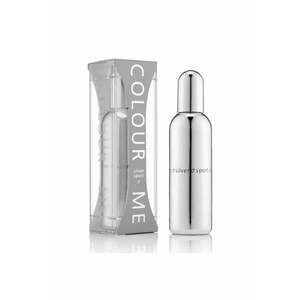 Apa de parfum pentru barbati Silver Sport - Milton-Lloyd Fragrances - 100 ml imagine