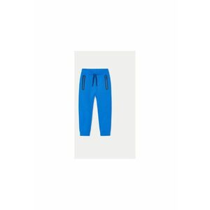 Pantaloni baieti - 304326301 - Bumbac/Poliester - Albastru imagine