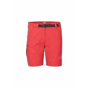Pantaloni scurti de alpinism cu logo imagine
