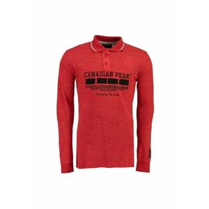 Bluza polo cu imprimeu logo Kinstar - imagine