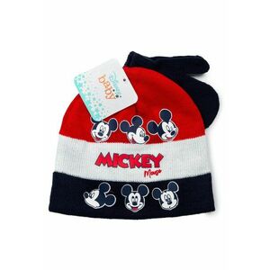 Set de manusi si caciula cu imprimeu cu desene animate imagine