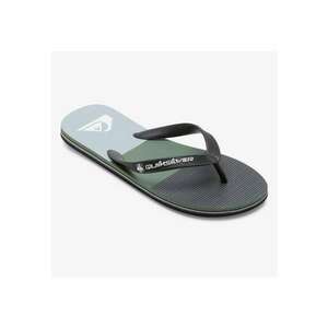 Papuci flip-flop Molokai imagine