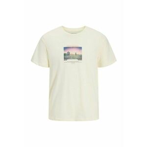Tricou JACK &JONES Ryu Crew Neck 47032 imagine