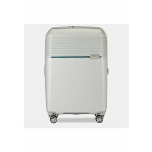 Troler Stripe imagine