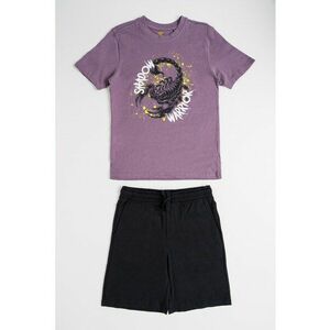 Set de tricou de bumbac si pantaloni scurti - 2 piese imagine