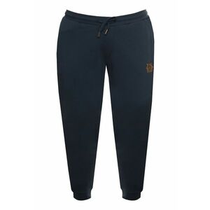 Pantaloni de trening ZMTG01 M INTL Bleumarin imagine