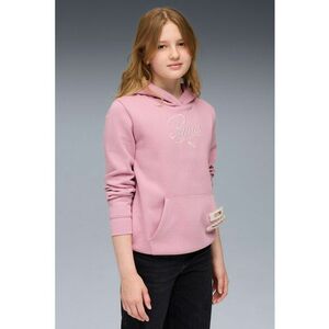 Hanorac cu logo brodat ESS imagine