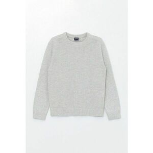 Pulover cu decolteu rotund imagine