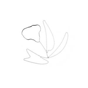 Lant de picior - elegant - imagine