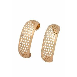 Cercei aurii - semirotunzi - textura perforata - Louis C7 imagine