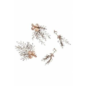 Accesorii par imagine