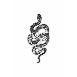 Brosa argintie - forma de sarpe - Edita C7 - imagine