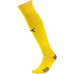 Jambiere barbati Puma Teamfinal 21 70415707 imagine