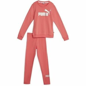 Trening copii Puma Logo FL JR 67104147 imagine