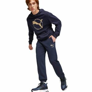 Pantaloni barbati Puma Better Sportswear Sweat 67606506 imagine